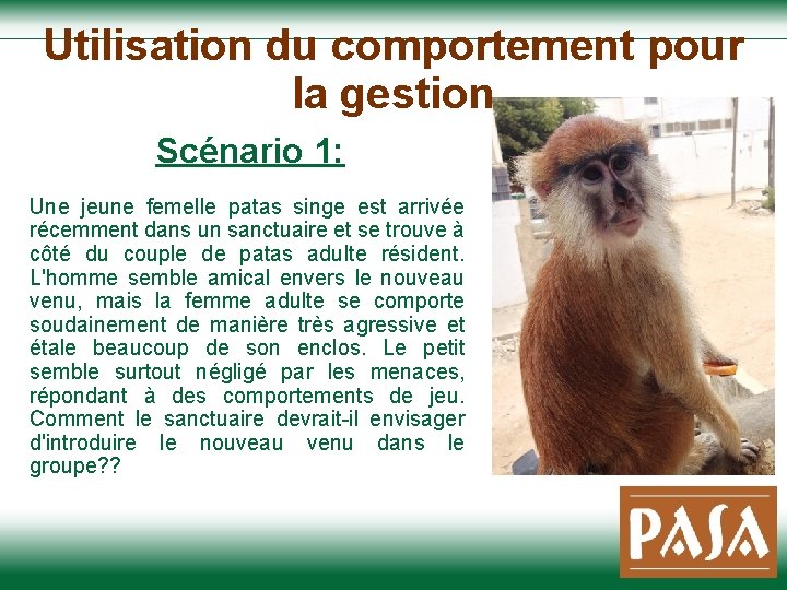 Utilisation du comportement pour la gestion Scénario 1: Une jeune femelle patas singe est