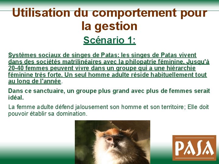 Utilisation du comportement pour la gestion Scénario 1: Systèmes sociaux de singes de Patas: