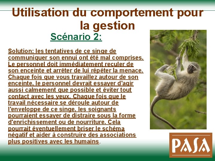 Utilisation du comportement pour la gestion Scénario 2: Solution: les tentatives de ce singe