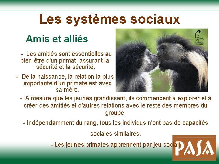 Les systèmes sociaux Amis et alliés - Les amitiés sont essentielles au bien-être d'un