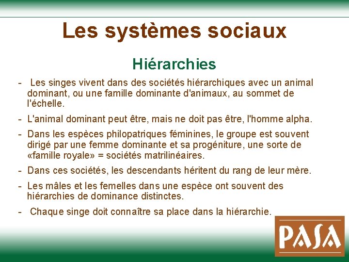 Les systèmes sociaux Hiérarchies - Les singes vivent dans des sociétés hiérarchiques avec un