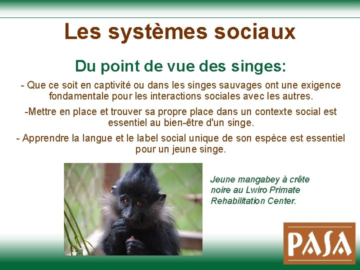 Les systèmes sociaux Du point de vue des singes: - Que ce soit en