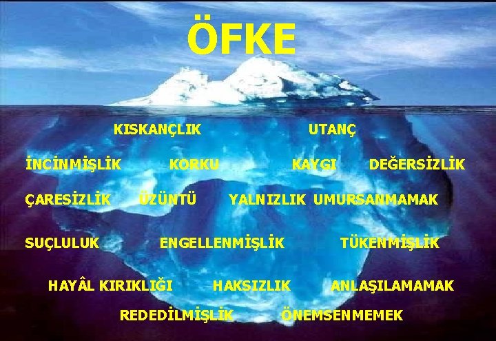 ÖFKE KISKANÇLIK İNCİNMİŞLİK ÇARESİZLİK SUÇLULUK UTANÇ KORKU ÜZÜNTÜ KAYGI YALNIZLIK UMURSANMAMAK ENGELLENMİŞLİK HAY L