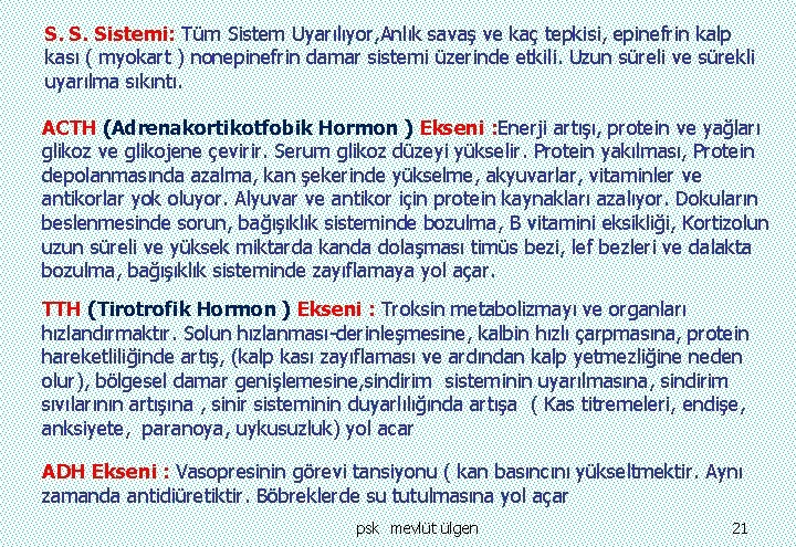 S. S. Sistemi: Tüm Sistem Uyarılıyor, Anlık savaş ve kaç tepkisi, epinefrin kalp kası