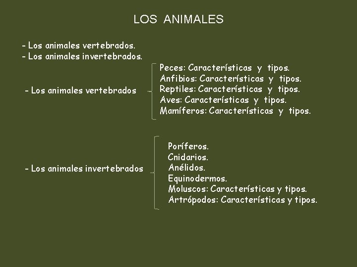 LOS ANIMALES - Los animales vertebrados. - Los animales invertebrados. - Los animales vertebrados