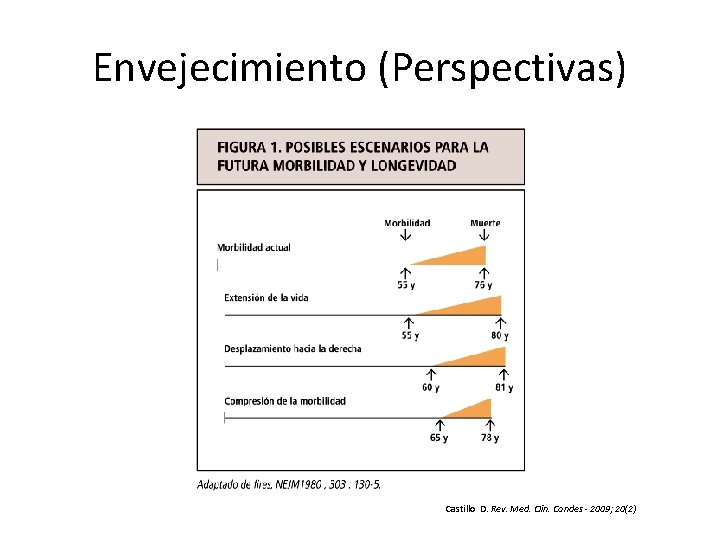 Envejecimiento (Perspectivas) Castillo D. Rev. Med. Clin. Condes - 2009; 20(2) 