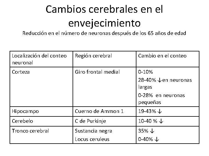 Cambios cerebrales en el envejecimiento Reducción en el número de neuronas después de los