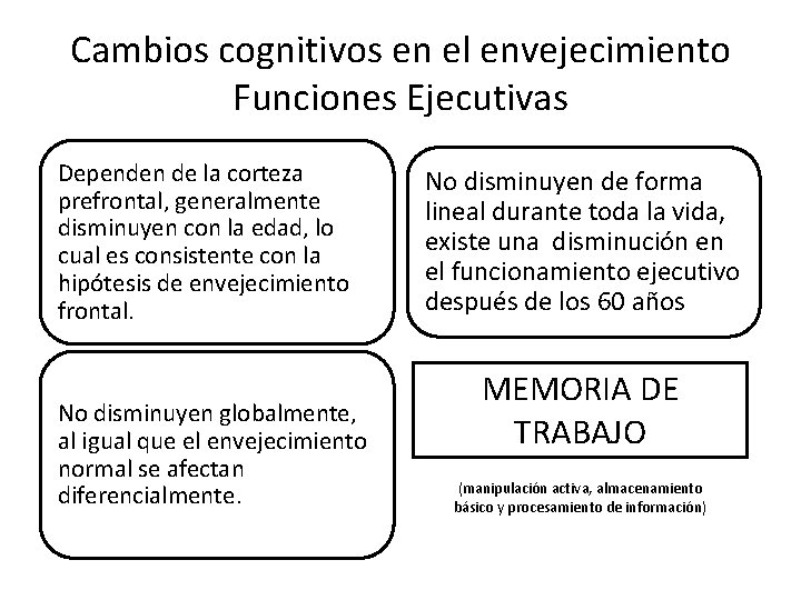 Cambios cognitivos en el envejecimiento Funciones Ejecutivas Dependen de la corteza prefrontal, generalmente disminuyen