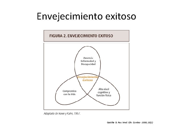 Envejecimiento exitoso Castillo D. Rev. Med. Clin. Condes - 2009; 20(2) 