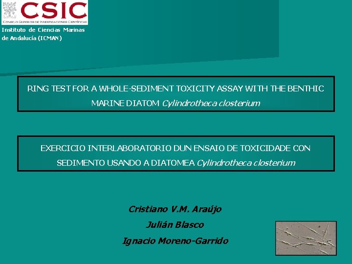 Instituto de Ciencias Marinas de Andalucía (ICMAN) RING TEST FOR A WHOLE-SEDIMENT TOXICITY ASSAY