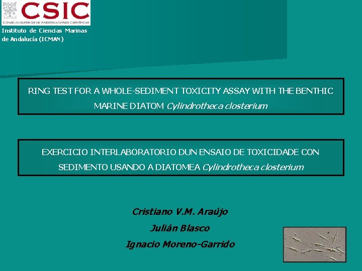 Instituto de Ciencias Marinas de Andalucía (ICMAN) RING TEST FOR A WHOLE-SEDIMENT TOXICITY ASSAY