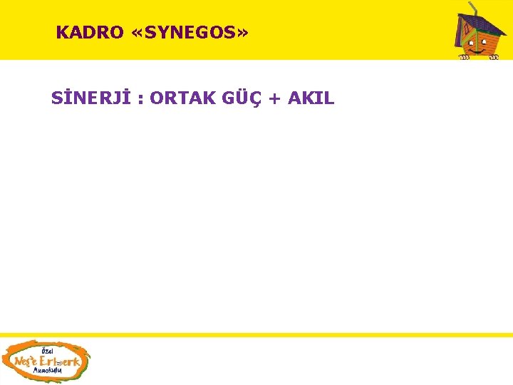 KADRO «SYNEGOS» SİNERJİ : ORTAK GÜÇ + AKIL 