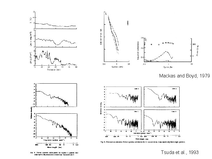 Mackas and Boyd, 1979 Tsuda et al. , 1993 