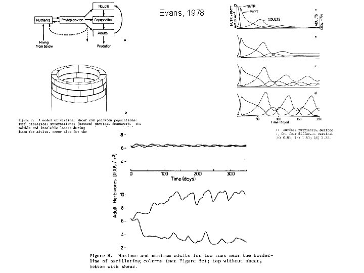 Evans, 1978 