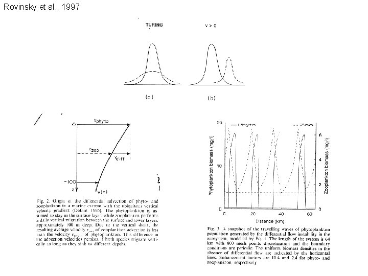 Rovinsky et al. , 1997 