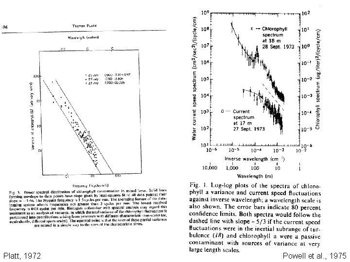 Platt, 1972 Powell et al. , 1975 