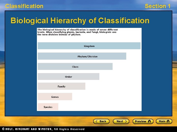 Classification Section 1 Biological Hierarchy of Classification 