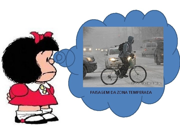 PAISAGEM DA ZONA TEMPERADA 