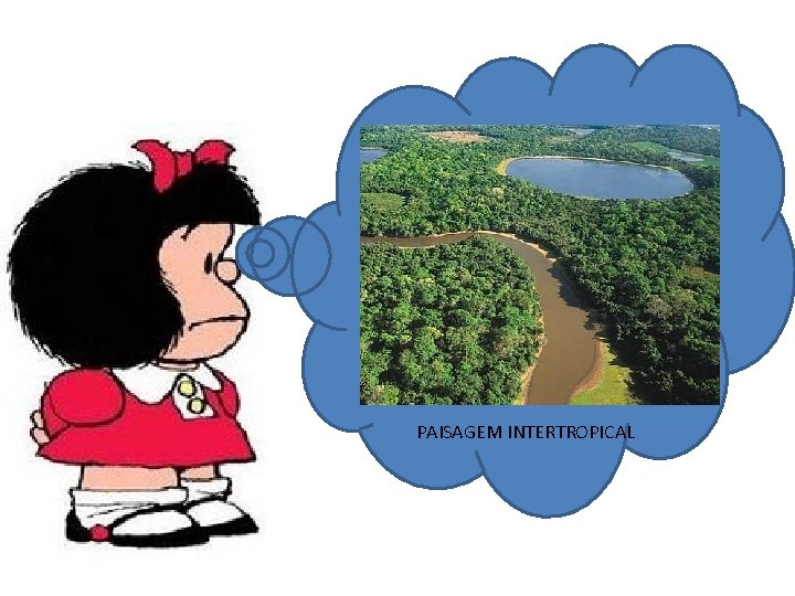 PAISAGEM INTERTROPICAL 