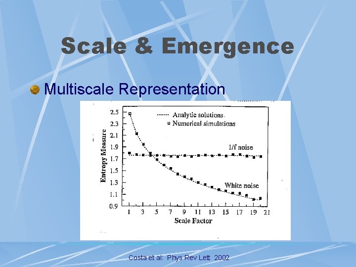 Scale & Emergence Multiscale Representation Costa et al: Phys Rev Lett 2002 