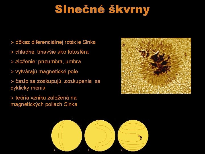 Slnečné škvrny Ø dôkaz diferenciálnej rotácie Slnka Ø chladné, tmavšie ako fotosféra Ø zloženie: