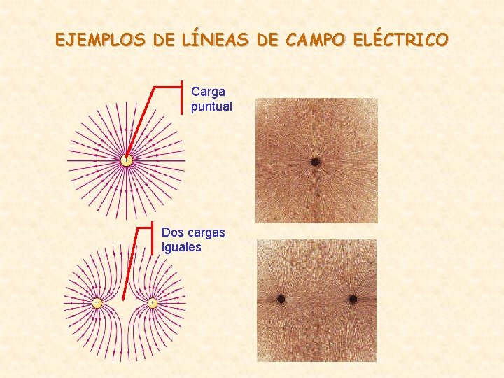 EJEMPLOS DE LÍNEAS DE CAMPO ELÉCTRICO Carga puntual Dos cargas iguales EJEMPLOS DE LÍNEAS DE CAMPO ELÉCTRICO Carga puntual Dos cargas iguales