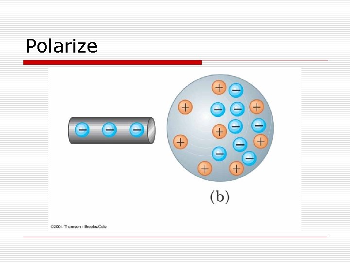 Polarize Polarize