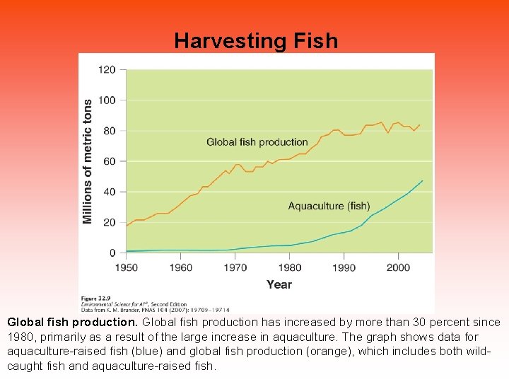 Harvesting Fish Global fish production has increased by more than 30 percent since 1980, Harvesting Fish Global fish production has increased by more than 30 percent since 1980,