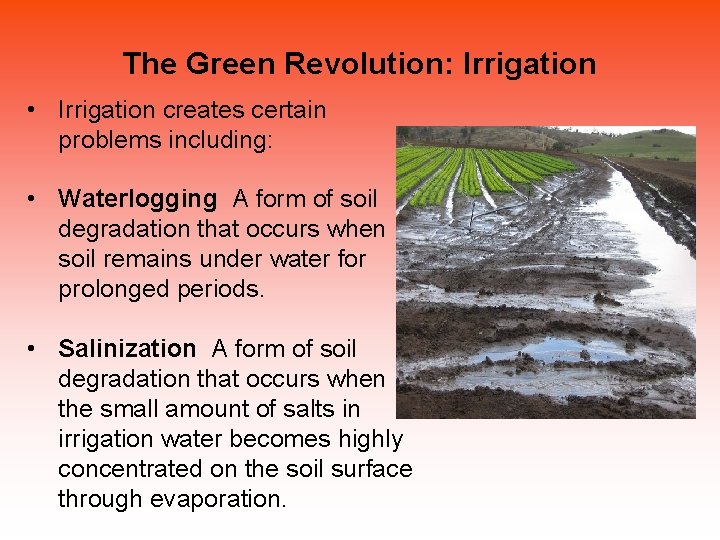 The Green Revolution: Irrigation • Irrigation creates certain problems including: • Waterlogging A form The Green Revolution: Irrigation • Irrigation creates certain problems including: • Waterlogging A form