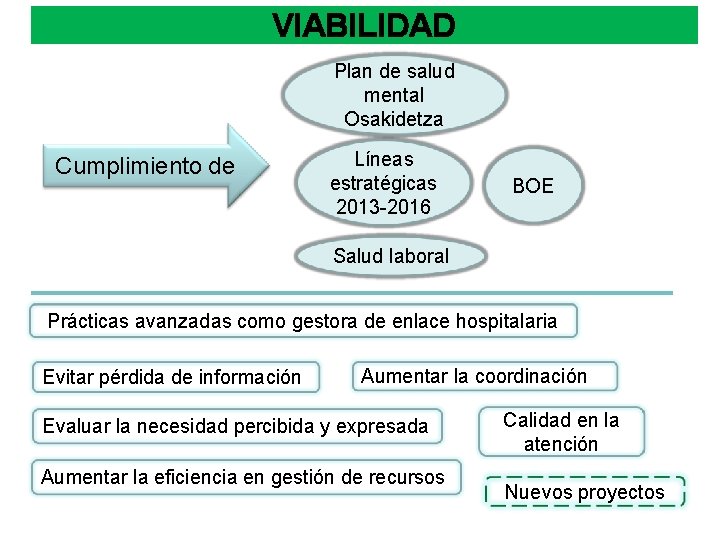 VIABILIDAD Plan de salud mental Osakidetza Cumplimiento de Líneas estratégicas 2013 -2016 BOE Salud