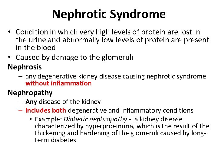 Nephrocity Chapter 9 The Urinary System Functions of the