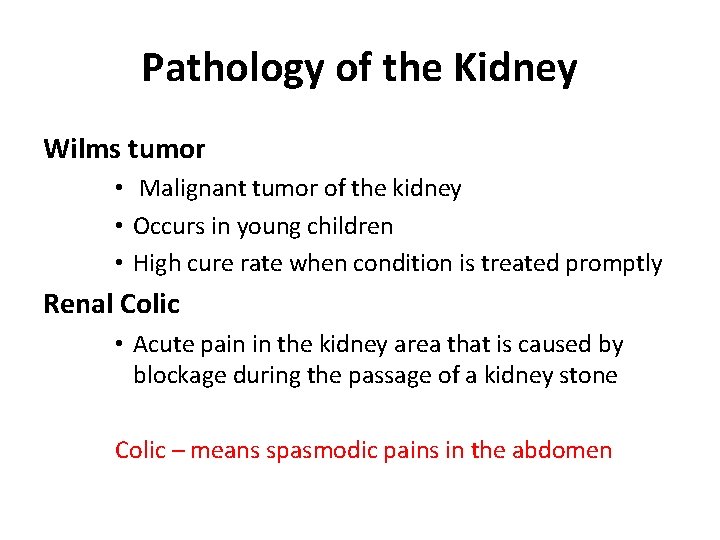 Pathology of the Kidney Wilms tumor • Malignant tumor of the kidney • Occurs