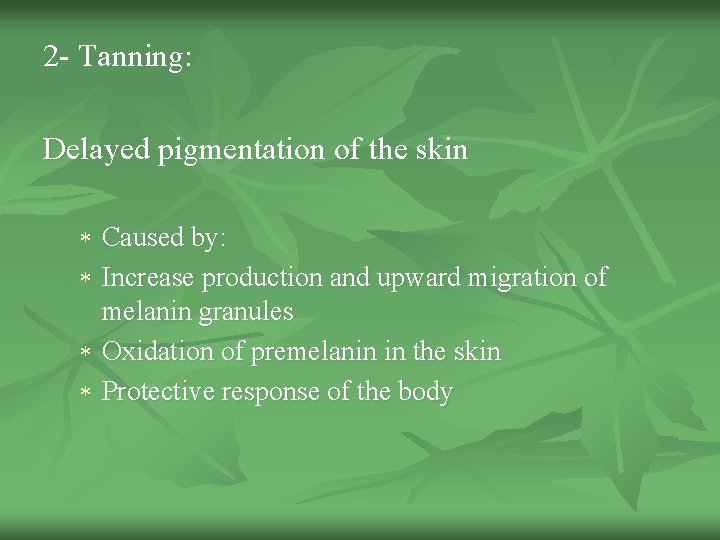 2 - Tanning: Delayed pigmentation of the skin * Caused by: * Increase production