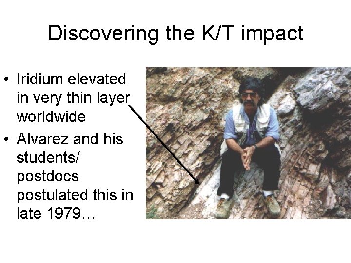 Discovering the K/T impact • Iridium elevated in very thin layer worldwide • Alvarez