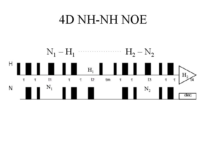 4 D NH-NH NOE N 1 – H 1 H 2 – N 2