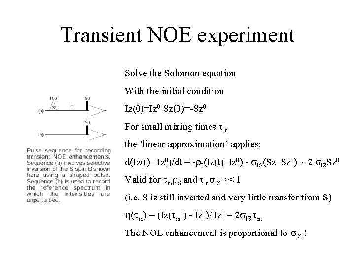 Transient NOE experiment Solve the Solomon equation With the initial condition Iz(0)=Iz 0 Sz(0)=-Sz