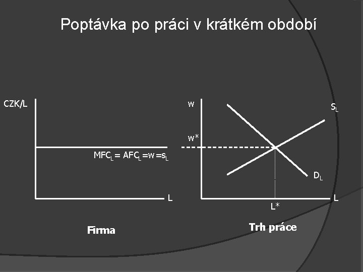 Poptávka po práci v krátkém období CZK/L w SL w* MFCL= AFCL=w=s. L DL