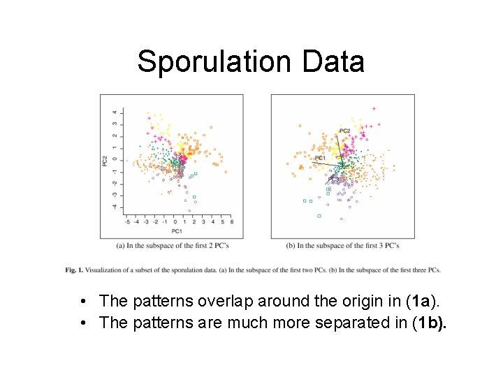 Sporulation Data • The patterns overlap around the origin in (1 a). • The