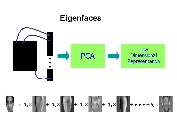 Eigenfaces Low Dimensional Representation PCA = a 1 × + a 2 × +