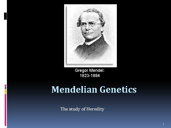 Gregor Mendel: 1823 -1884 Mendelian Genetics The study of Heredity 1 