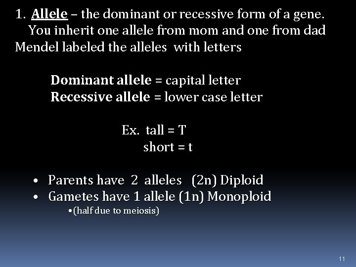 1. Allele – the dominant or recessive form of a gene. You inherit one