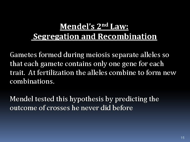 Mendel’s 2 nd Law: Segregation and Recombination Gametes formed during meiosis separate alleles so