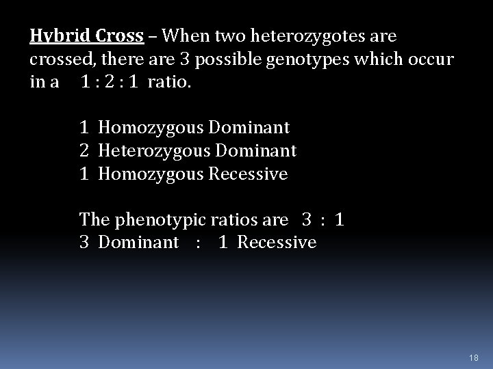 Hybrid Cross – When two heterozygotes are crossed, there are 3 possible genotypes which