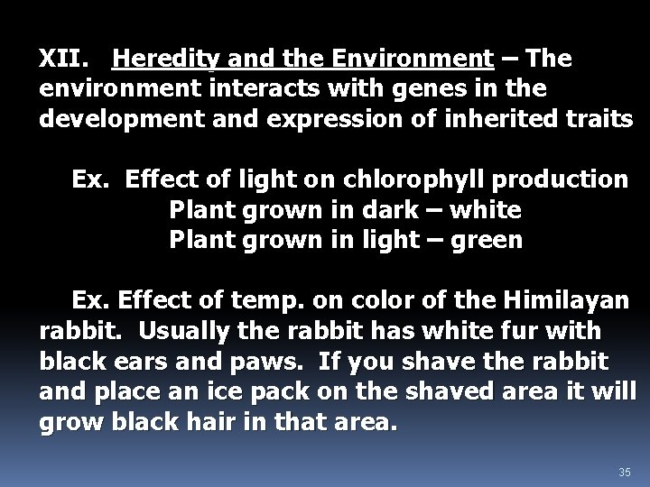 XII. Heredity and the Environment – The environment interacts with genes in the development