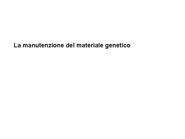 La manutenzione del materiale genetico 