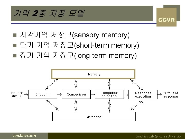 기억 2중 저장 모델 CGVR 지각기억 저장고(sensory memory) n 단기 기억 저장고(short-term memory) n 기억 2중 저장 모델 CGVR 지각기억 저장고(sensory memory) n 단기 기억 저장고(short-term memory) n
