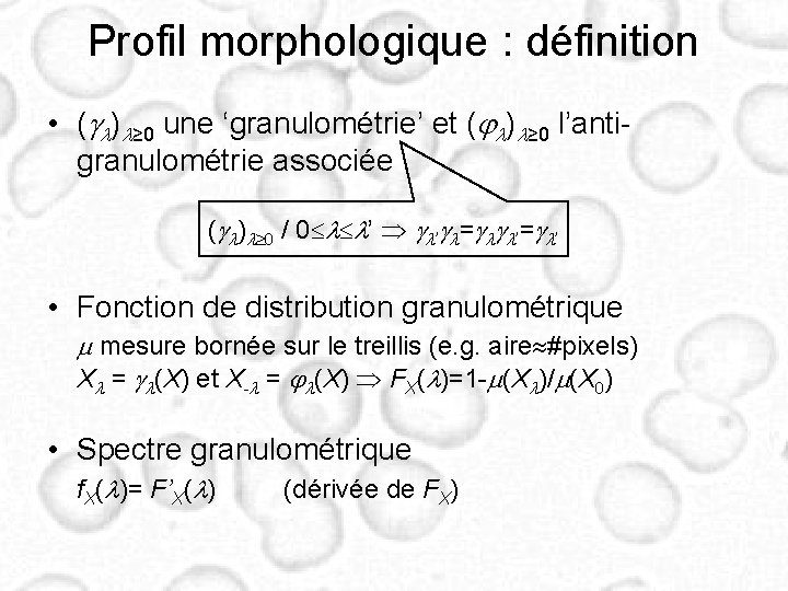 Profil morphologique : définition • (gl)l≥ 0 une ‘granulométrie’ et (jl)l≥ 0 l’antigranulométrie associée Profil morphologique : définition • (gl)l≥ 0 une ‘granulométrie’ et (jl)l≥ 0 l’antigranulométrie associée