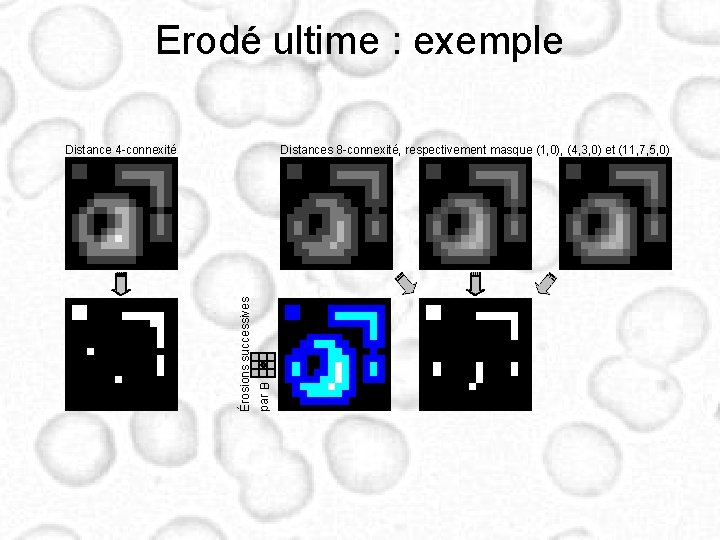 Erodé ultime : exemple par B Distances 8 -connexité, respectivement masque (1, 0), (4,