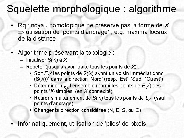 Squelette morphologique : algorithme • Rq : noyau homotopique ne préserve pas la forme