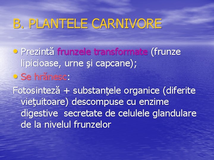 B. PLANTELE CARNIVORE • Prezintă frunzele transformate (frunze lipicioase, urne şi capcane); • Se